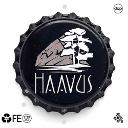 Haavus