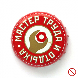 Мастер труда и отдыха