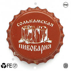 Солькамская