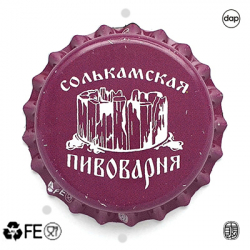 Солькамская