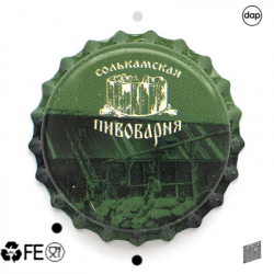 Солькамская