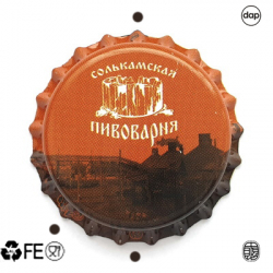 Солькамская