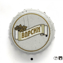 Ворсин