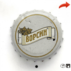 Ворсин